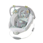 , Soothing Baby Bouncer Chair with Soothing Vibrating Infant Seat,