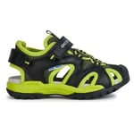 Geox J Borealis Boy C Sandal, Black Lime, 5 UK