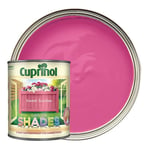 Cuprinol Garden Shades Furniture Sheds Fences Wood Paint Sweet Sundae - 1L