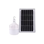 Ampoule LED solaire avec panneau solaire 6V/2.3W