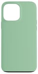 Coque pour iPhone 13 Pro Max Couleur simple vert menthe clair