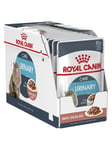 Royal Canin Urinary Care Chunks In Gravy 85g (12-Pack)