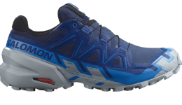 Salomon Speedcross 6 GTX løpesko herre Blue Print/Ibizbl/Quar 473020 45 1/3 2025