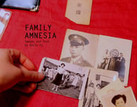 Family Amnesia  Chinese American Resilience