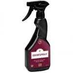 Luktborttagare Odörspray 500ml