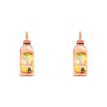 Garnier - Fructis Hair Drink - Soin Lamellaire Instantané Lissant Longueurs & Glow Ananas - Formule Vegan à 97% d'Ingrédients d'Origine Naturelle - 200 ml (Lot de 2)