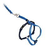 PetSafe Easy Walk Cat Harness with Bungee Lead, Comfortable Control with Adjustable Fit, Includes Stretchy Bungee Section, Large-Royal Blue