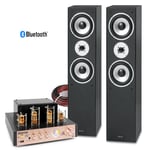 Tower HiFi System with Floor Standing Speakers and Valve Amplifier SHFT60B Black