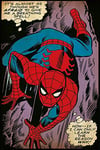 empireposter Affiche rétro Spider-Man Spell Plakat Druck - Grösse 61 x 91,5 cm