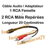 CABLE AUDIO ADAPTATEUR RCA FEMELLE / 2 RCA MALE LONGUEUR 10 CENTIMETRES FICHES SURMOULEES