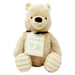 NEW CLASSIC WINNIE POOH SOFT TOY TEDDY BEAR TOY HUNDERED ACRE WOOD FOR NEW BORN