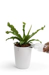 QUALY Oasis QL10307-WH-GY Round Flower Pot with Self-Watering System in White Size S