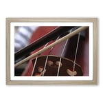 Big Box Art Cello Instrument (2) Framed Wall Art Picture Print Ready to Hang, Oak A2 (62 x 45 cm)