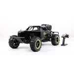 LOSA 2WD RC Petrol Buggy,1/5 Gas Off Road Car Toy with 36CC Gasoline Engine for Adult,2.4G Radio Controller Included,Black