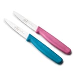 Lacor - 39084 - Couteaux de Cuisine Professionnels, Set Couteau Cuisine, Set 2 Pièces, Couteau d’Office, Dentelle Dentelée, Acier Inoxydable, Série Etern, Lame de 10 cm, Bleu et Magenta