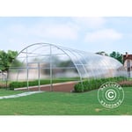 Serre polycarbonate, Strong nova 72m², 6x12m, Argent