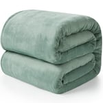 EHEYCIGA Fleece Blanket Throws for Sofas Fluffy Warm Soft Blanket for Bed Settees Armchairs, Fit All Season, Sage Green, 150x200cm