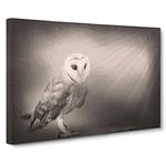 Light Upon The Barn Owl Modern Art Canvas Wall Art Print Ready to Hang, Framed Picture for Living Room Bedroom Home Office Décor, 30x20 Inch (76x50 cm)