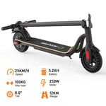 250W Adult Electric Scooter With LED, E Scooter ,12KM Range,5.2AH Battery