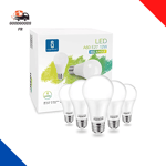 Ampoule LED E27 Blanc Froid 6400K, Ampoules Globe A60 De 12W, Pack De 5