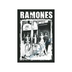 Drapeau Ramones - CBGB - ref dr1ramon3