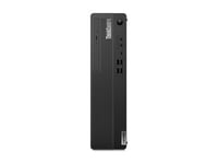 Lenovo ThinkCentre M70s Gen 4 12DT - SFF - Core i5 13400 / 2.5 GHz - RAM 8 Go - SSD 256 Go - TCG Opal Encryption 2, NVMe, Value - UHD Graphics 730 - Gigabit Ethernet - Win 11 Pro - moniteur : aucun - clavier : Belge - noir - TopSeller - avec 3 ans de supp