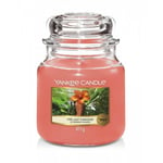 5038581111087 Świeca zapachowa średni słój The Last Paradise 411g Yankee Candle