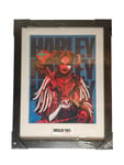 Birds of Prey Harley Quinn Framed Poster 45cm x 34.5cm Free Fast UK Delivery