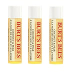 Burt's Bees - 3 x Lip Balm Coconut & Pear