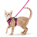 rabbitgoo Harnais Chat Anti évasion avec Laisse Rose Rouge XS, Harnais Chaton Petit Chien Réglable, Collier Harnais et Laisses pour Chat Refléchissant Attache Dessus Gilet Respirant pour Lapin Chiot