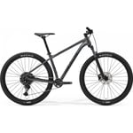 MTB Merida Big.Nine 200 Silver/Svart XL 2024