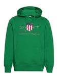 Reg Archive Shield Hoodie Tops Sweat-shirts & Hoodies Hoodies Green GANT