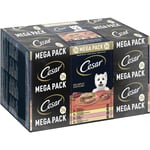 42 + 6 på köpet! 48 x 150 g Cesar portionsform - Classic Terrine - 48 x 150 g