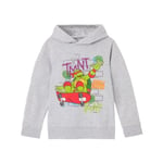 Teenage Mutant Ninja Turtles Childrens/Kids Shell Skater Hoodie - 3-4 Years