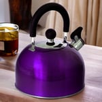 Stovetop Kettle Whistling Spout Metallic Purple Stainless Steel Gas Electric