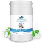 Vet CRYO Intense Gel à Effet Froid pour Chevaux. Baume Naturelle pour les Douleurs Musculaires & Articulaires. Crème de Massage Refrigerant pour Cheval pour Circulation des Jambes - 1000 ml