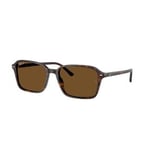 Ray-Ban Raimond - RB2231 902/57 5618