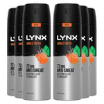 Lynx XL Antiperspirant Jungle Fresh 72H Long Lasting Sweat and Odour Protection Deodorant Spray for Men with Unique Scent of Palm Leaves and Amber, 200ml Pack of 6