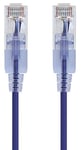 Monoprice - 116318 SlimRun Câble de raccordement Ethernet Cat6A - Fil de cuivre nu RJ45 UTP sans accroc 10 G 30 AWG - Violet - 0,3 m - Lot de 10