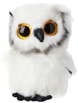 TY - Beanie Boo Owl Austin - 15 CM Austin Owl