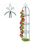 Relaxdays Tuteur Jardin, Pyramide Haute 200 cm, Colonne Rosier, Arche Plante grimpante, Arceau, Fer, Vert foncé