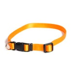 Dogman Justerbart Valphalsband Orange