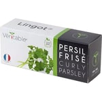 Lingot® Persil frisé BIO - Compatible Véritable® Potager - Recharge prête à l'emploi