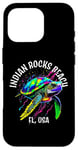 iPhone 16 Pro Indian Rocks Beach Florida USA Abstract Turtle Design Case