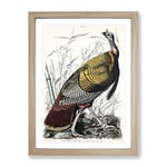 Wild Turkey By John James Audubon Vintage Framed Wall Art Print, Ready to Hang Picture for Living Room Bedroom Home Office Décor, Oak A4 (34 x 25 cm)