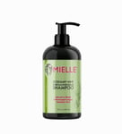 Mielle Rosemary Mint Strengthening Shampoo 355ml  Fast TRACK DELIVERY 