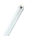 LEDVANCE Ledavance L58840 - Lampe Fluorescent T8 Lumilux