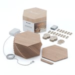 Nanoleaf Elements Hexagons Starter Kit 13PK