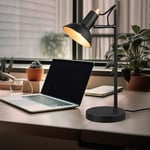 Lampe de Table Accumulateur Luminaire Noir Salon Spot Réglable