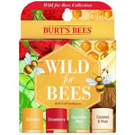 BURT'S BEES LIP BALMS WILD for BEES COLLECTION SET 4 MOISTURISING 100% NATURAL